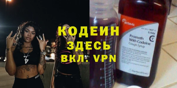 твердый Вяземский