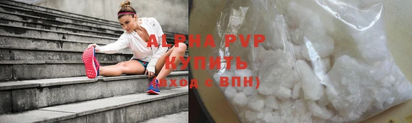 твердый Вяземский