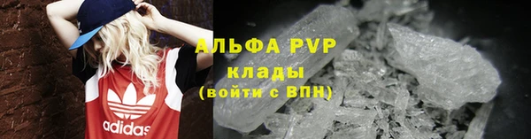 твердый Вяземский