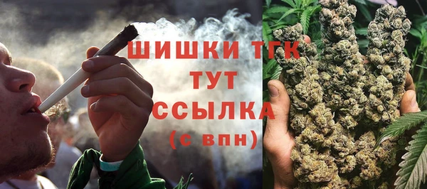 твердый Вяземский