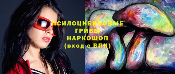 твердый Вяземский