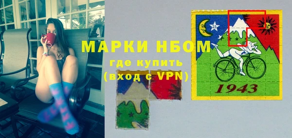 твердый Вяземский