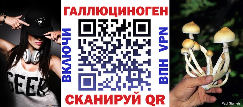 Купить  Покров  Галлюциногенные грибы MAGIC MUSHROOMS 